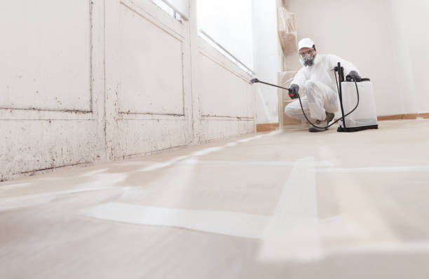 24/7 Emergency Basement Mold Remediation experts in Hanscom AFB, MA