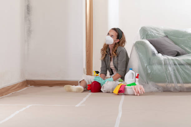 Reliable Basement Mold Remediation contractor in Hanscom AFB, MA by Mold Remediation HQ